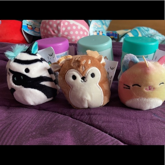 Meet your Posher, Jordan - Picture 3 of 3